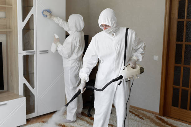 Professional Mold Removal in Ord, NE